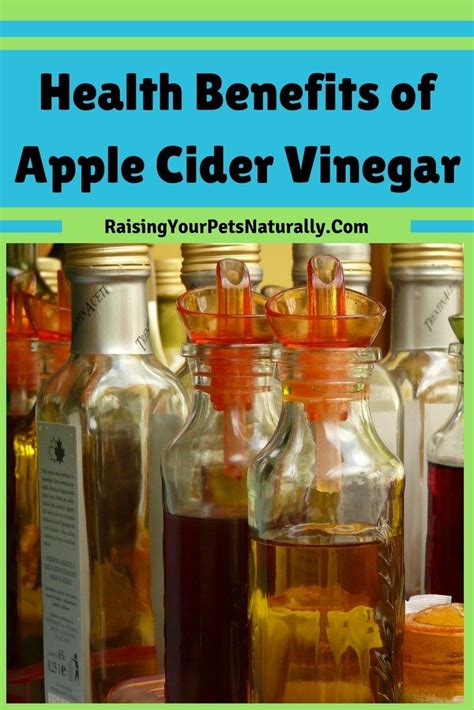 Health Benefits of Apple Cider Vinegar for Dogs, Cats and Us Natural ...