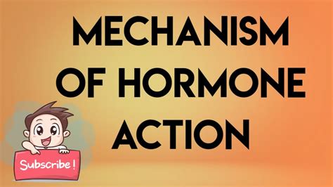 Mechanism of hormone action - YouTube