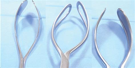 Anatomy of the forceps | Contemporary OB/GYN