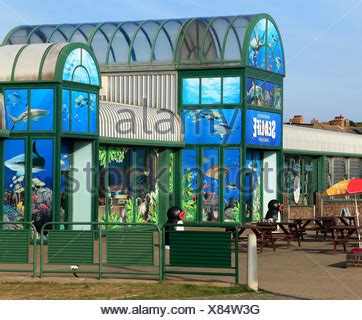 Hunstanton Sea Life Centre, marine aquarium, Norfolk England UK Stock ...