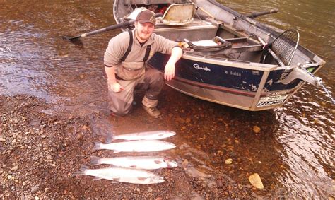 Wilson River Fishing Report 07-25-2015 - Fishing The Wilson River