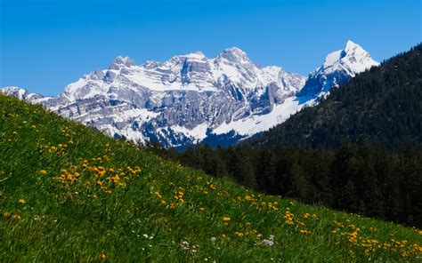 Obersee Glarus, Switzerland - thehallos.com