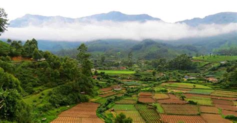 Why Vattavada is hailed as agricultural haven of Kerala | Munnar ...