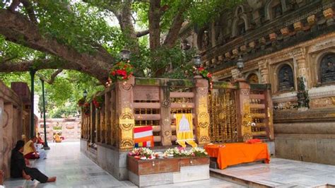 Banyan Tree under which Gautam Buddha Attained Enlightment - Review of ...