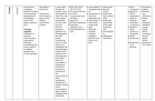 Respiratory diseases of equine | PPT