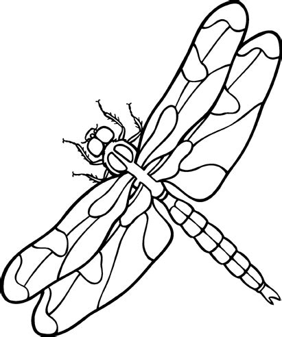 Dragonfly clip art stock images free clipart images clipartcow 5 ...