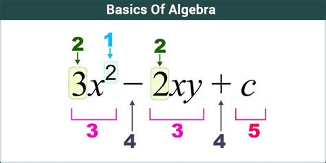 Basics Of Algebra - Equations | Algebraic Expressions