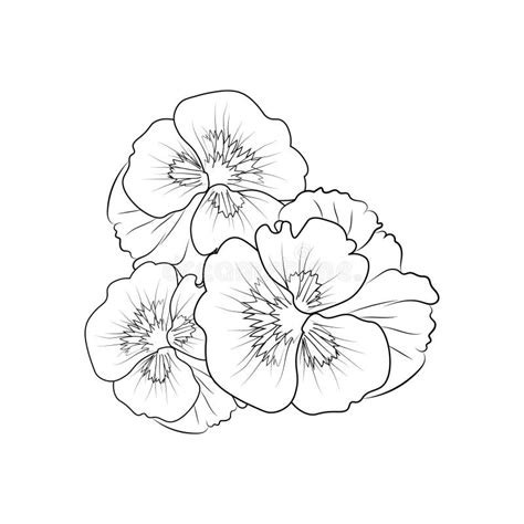 Cute Kids Coloring Pages, Easy Pansy Flower Drawing, Pansy Flower Black and White Illustration ...