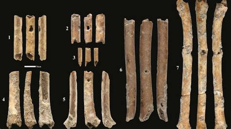 12,000-year-old flutes carved of bone are some of the oldest in the ...