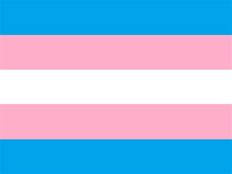 Image - Trans Pride Flag.png - Gender Wiki