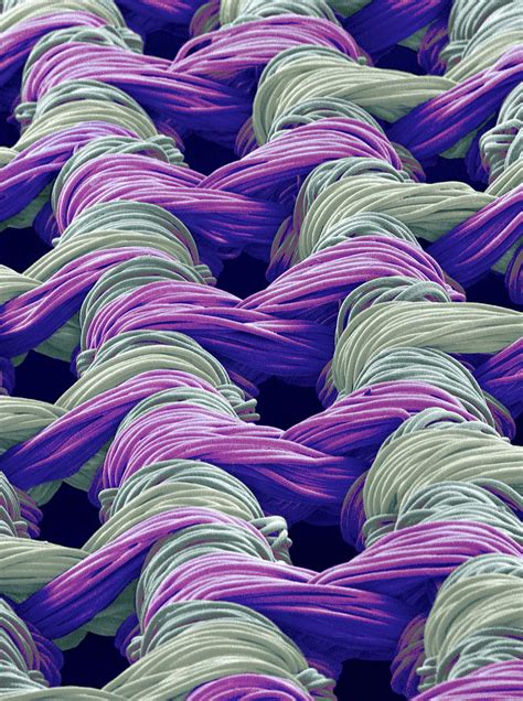 Synthetic Fibres, Sem Photograph by Susumu Nishinaga