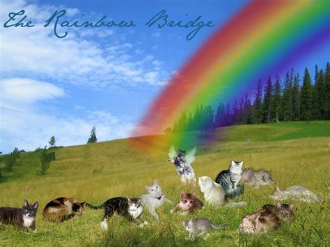 a group of dogs and cats sitting in the grass under a rainbow colored sky with trees