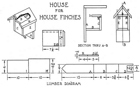 Finch Bird House Plans + Dimensions of Finch House Plans