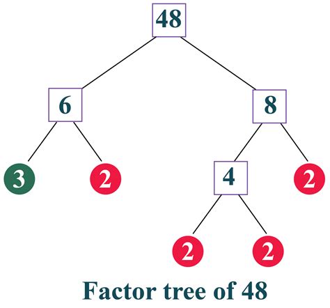 What Is A Factor Tree | Images and Photos finder