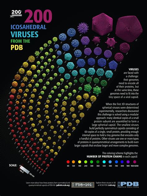 PDB-101: Learn: Flyers, Posters, & Calendars: Posters: 200 Icosahedral ...