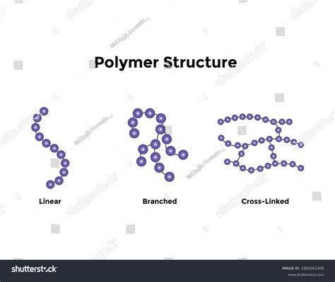 Types Protein Structure Proteins Biological Polymers Stock Vector (Royalty Free) 2383261309 ...