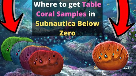 Where to get Table Coral Samples in Subnautica Below Zero - YouTube