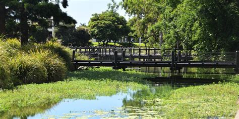 Relax at the Gold Coast Botanic Gardens | Curious Campers