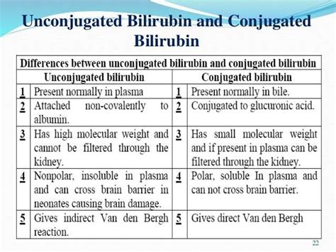 Difference () Direct and Indirect Bilirubin | Molecular, Laboratory ...