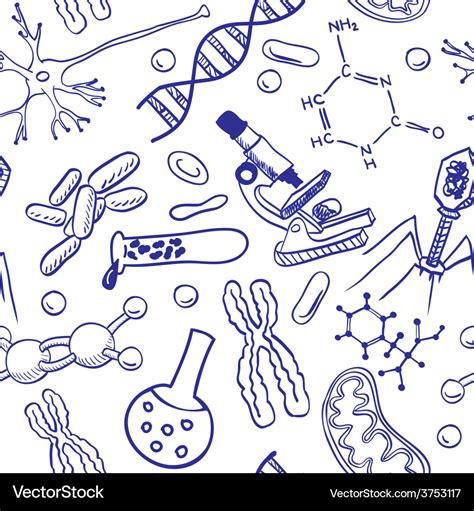 Biology drawings - seamless pattern background Vector Image