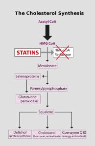 Mevalonate_Pathway - Q10facts