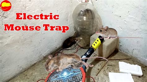 Diy Electric Rat Trap With Capacitor