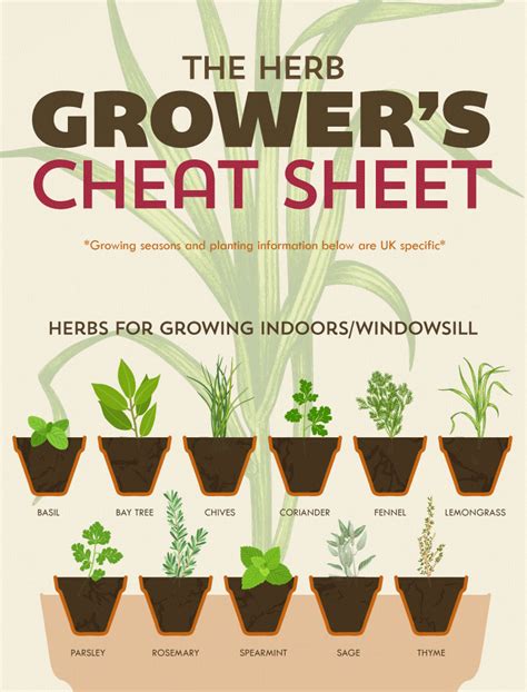 How to Grow an Herb Garden | The Molly & Claude Team