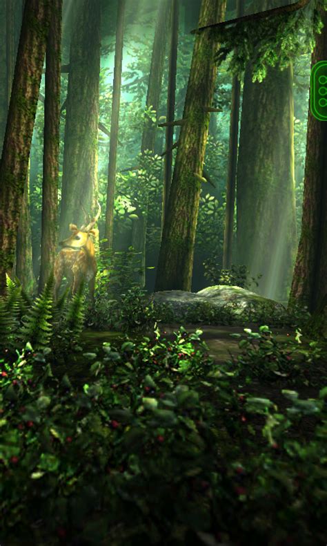 Haram World: Forest HD 3D Live Wallpaper For Android