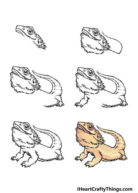 How To Draw A Bearded Dragon - Carpetoven2