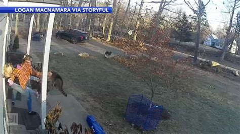 Raccoon attack: Home surveillance camera captures 5-year-old girl attacked by animal while ...