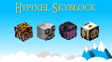 The BEST Pets In Hypixel Skyblock!!! - Updated 2021 - YouTube