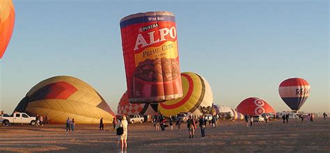 Hot Air Balloon Dogs