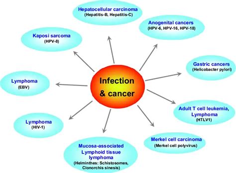 Infectious causes of Cancer: Bacteria, Virus and Parasites – Microbe Online