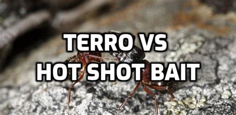 Hot Shot Ant Bait vs Terro Bait Gel - Comparison TABLE