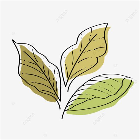 Aesthetic Green Leaf Line Art, Aesthetic, Line Art, Leaf PNG Transparent Clipart Image and PSD ...