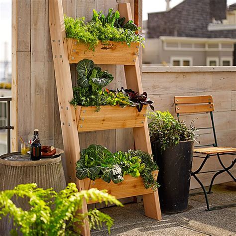 5 Vertical Vegetable Garden Ideas For Beginners