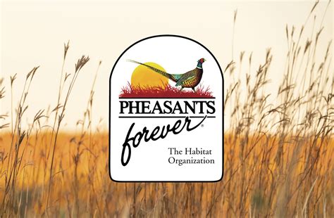 Pheasants Forever_Conservation_Logo_Graphics | Covey Rise Magazine