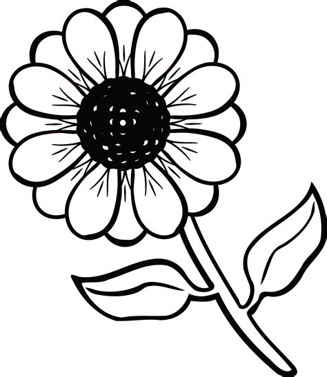 Daisy Clipart Black And White | Free download on ClipArtMag