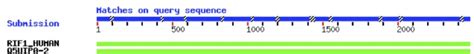 Have a BLAST With Your Protein Sequences