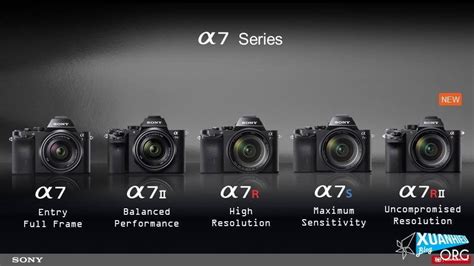 Sony Microless Series A7, A7R, A7S, A7ii, A7Rii: Lựa chọn nào phù hợp