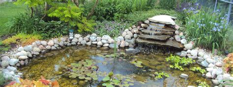 Water Gardening: Steps for Building a Pond - Northeast Nursery