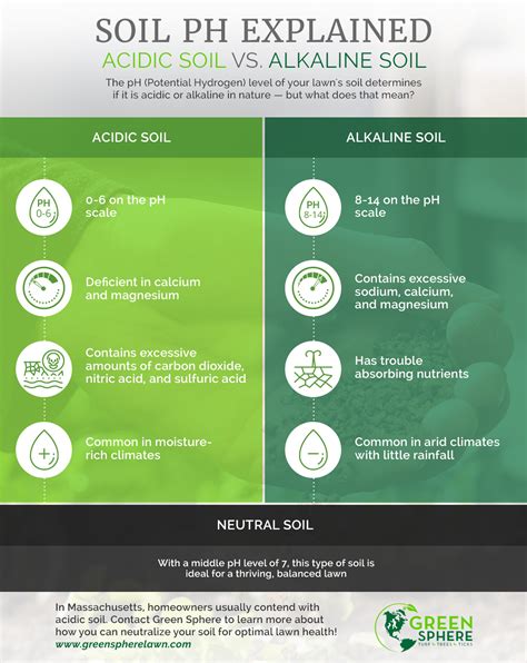 Soil pH and How It Affects Your Lawn - Acidic vs. Alkaline Soil