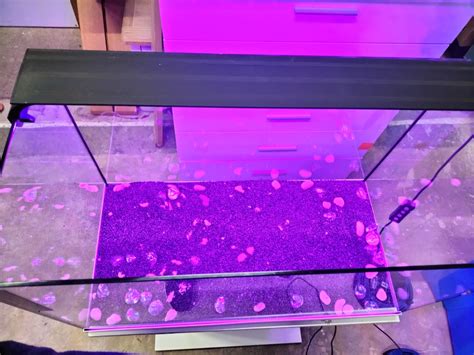 Aquarium with LED lights on stand | Karrot