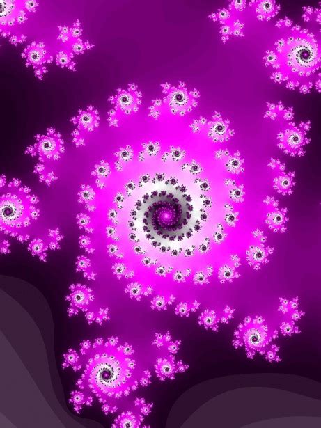 Purple Fractal Spiral Free Stock Photo - Public Domain Pictures