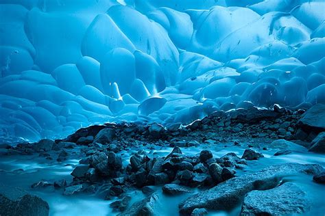 Aprende sobre la seductora belleza del antiguo bosque bajo el hielo ...