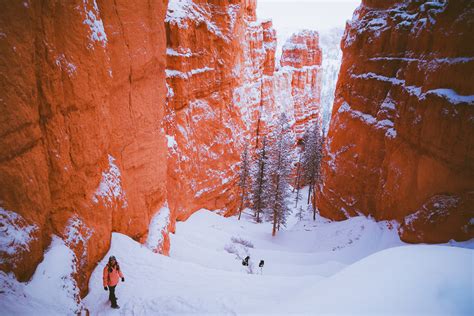 The Ultimate Bryce Canyon Winter Guide | Visiting Bryce Canyon National ...