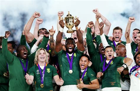 Springboks v British & Irish Lions - Third Test - Albert's Shed