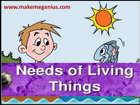 Living Things Need 'Somethings' Too! Animation for Kindergarten and Preschoolers