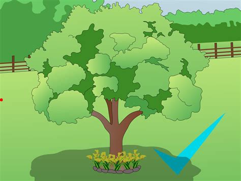 How to Choose Where to Plant Trees: 6 Steps (with Pictures)