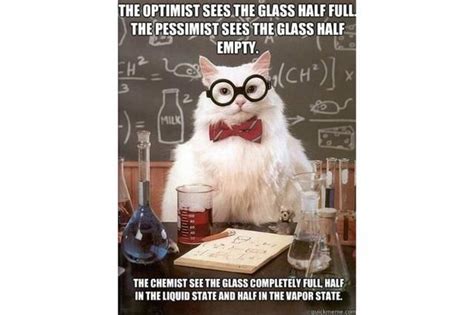 The Best of the Chemistry Cat Meme | Chemistry cat, Biology jokes, Chemistry puns